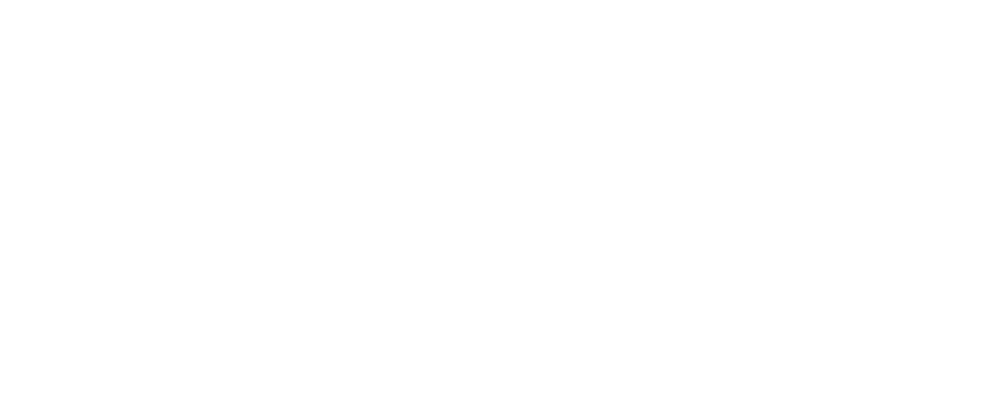 edittrvlcounter
